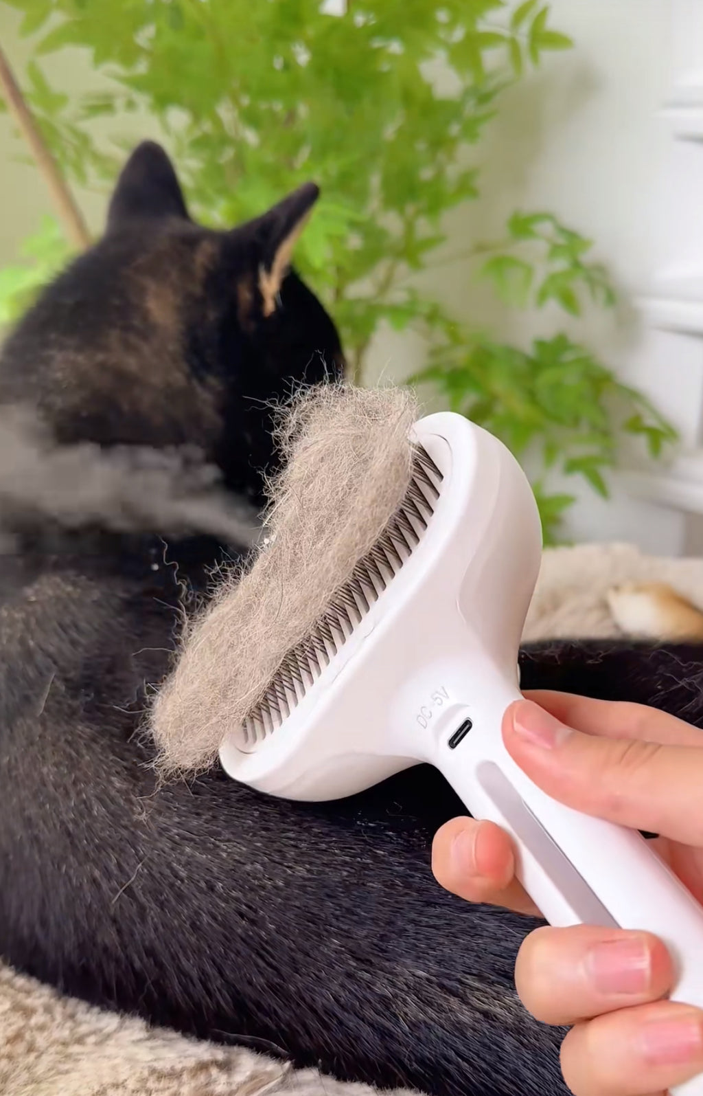 Luxepaws Steam Groom Brush