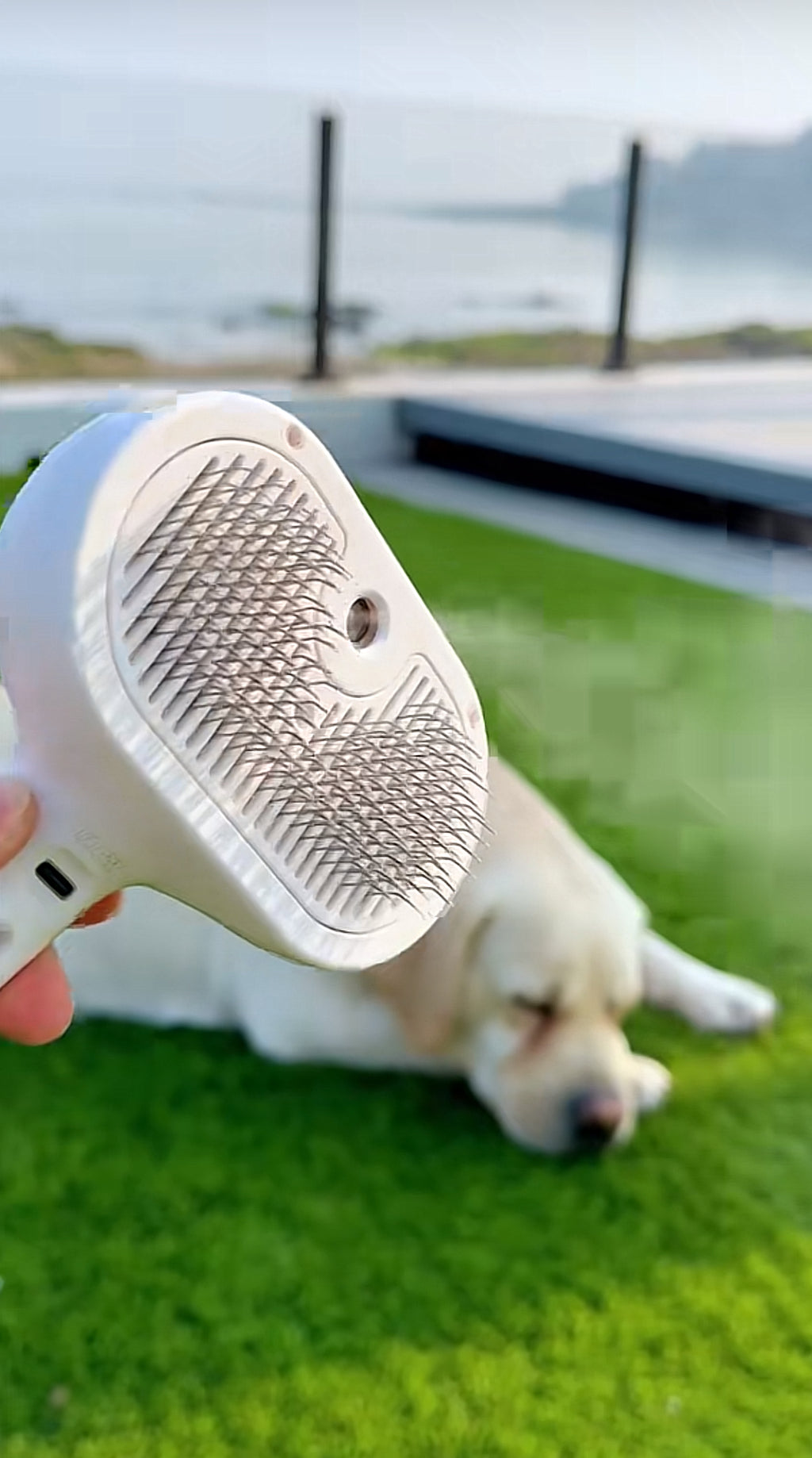 Luxepaws Steam Groom Brush